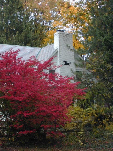 fall colors, 28 oct