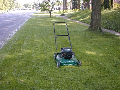 mowing the treelawn