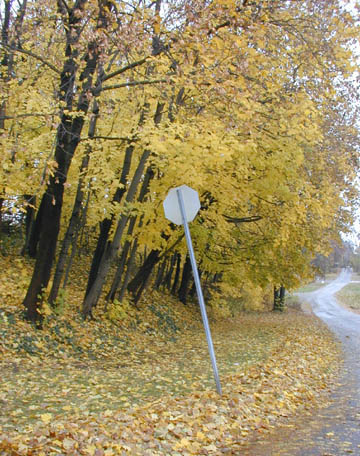 stop sign @ lathrop/riverside
